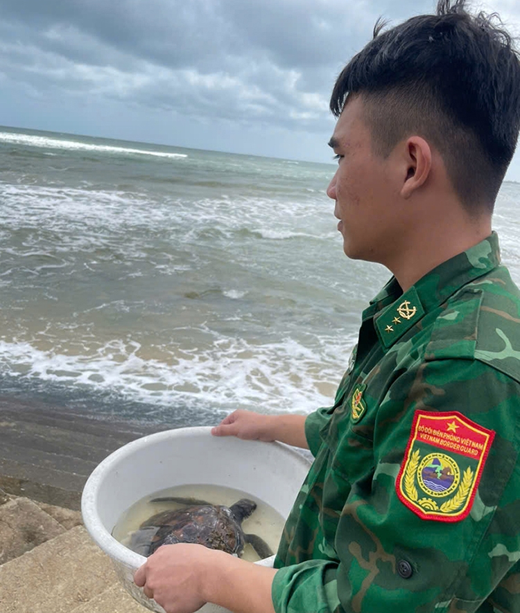 Bội đội Biên phòng Bình Hải thả cá thể rùa nặng 2kg về biển