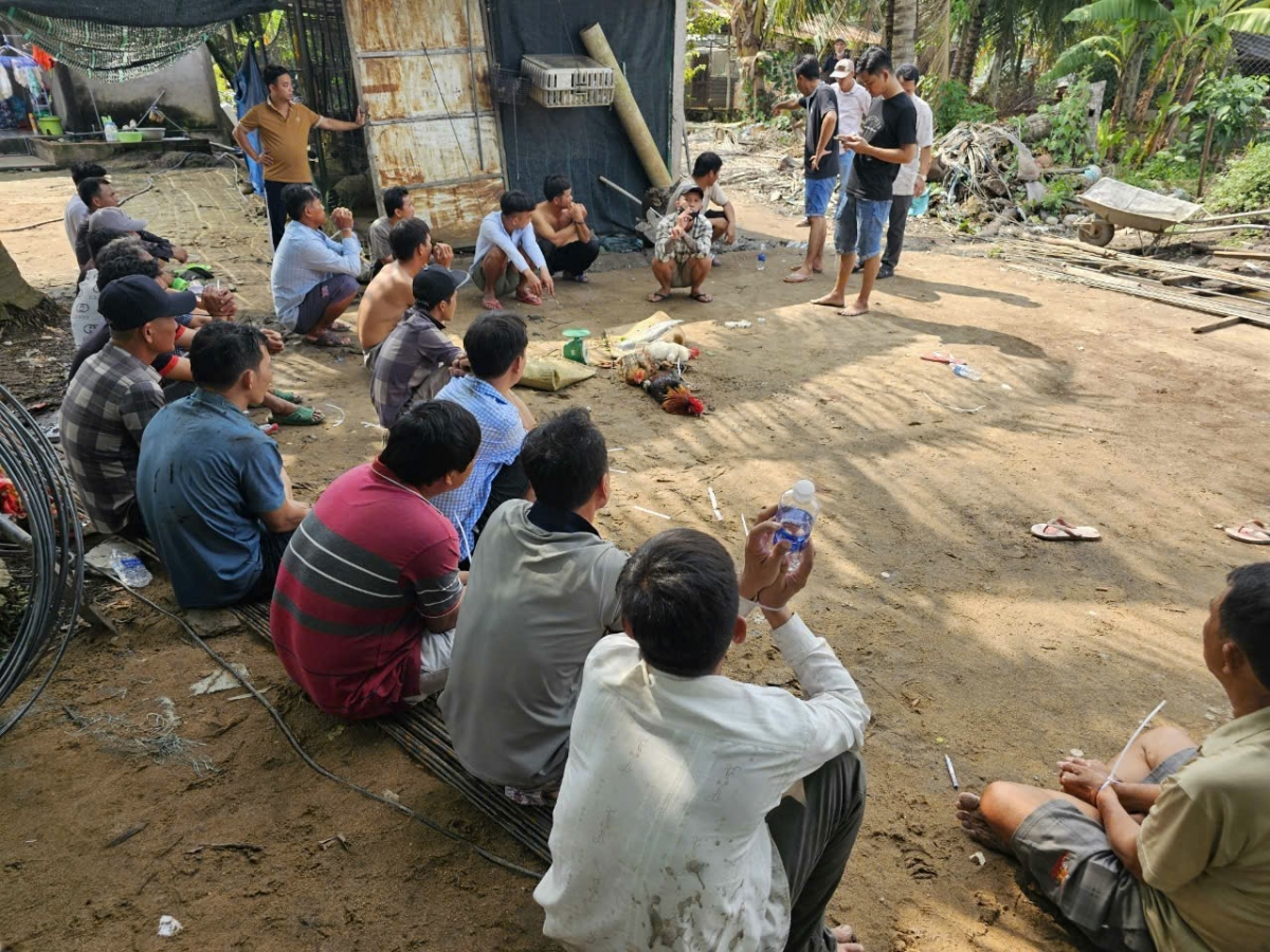 Hiện trường tụ điểm đá gà ăn tiền