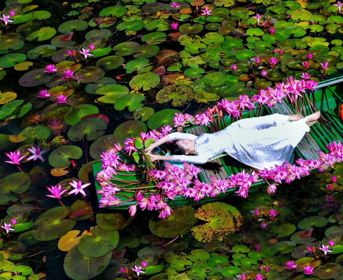 Sông nước Tam Cốc nay điểm tô thêm màu hoa súng, tạo nên khung cảnh đẹp như tranh vẽ.