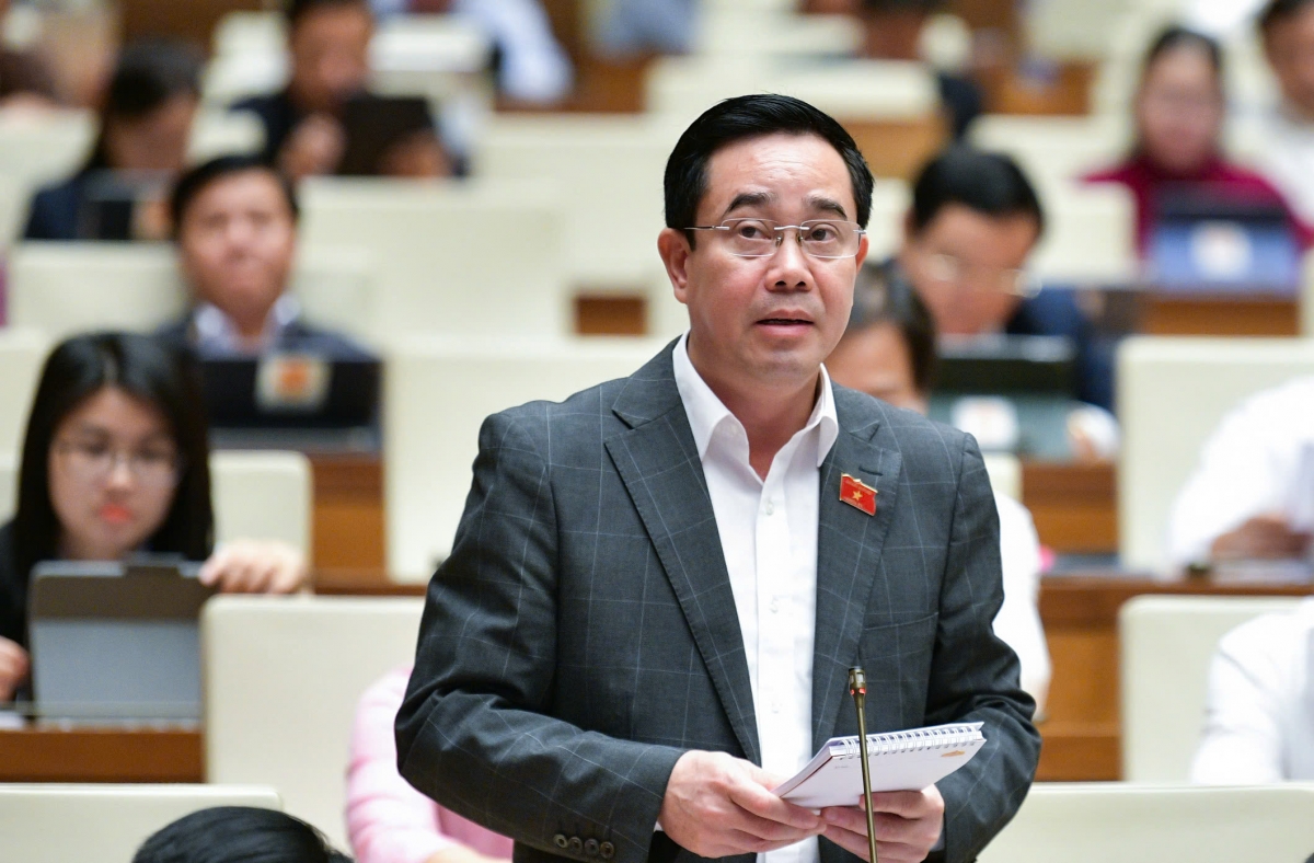 Đại biểu Nguyễn Văn Huy (Đoàn Thái Bình) 