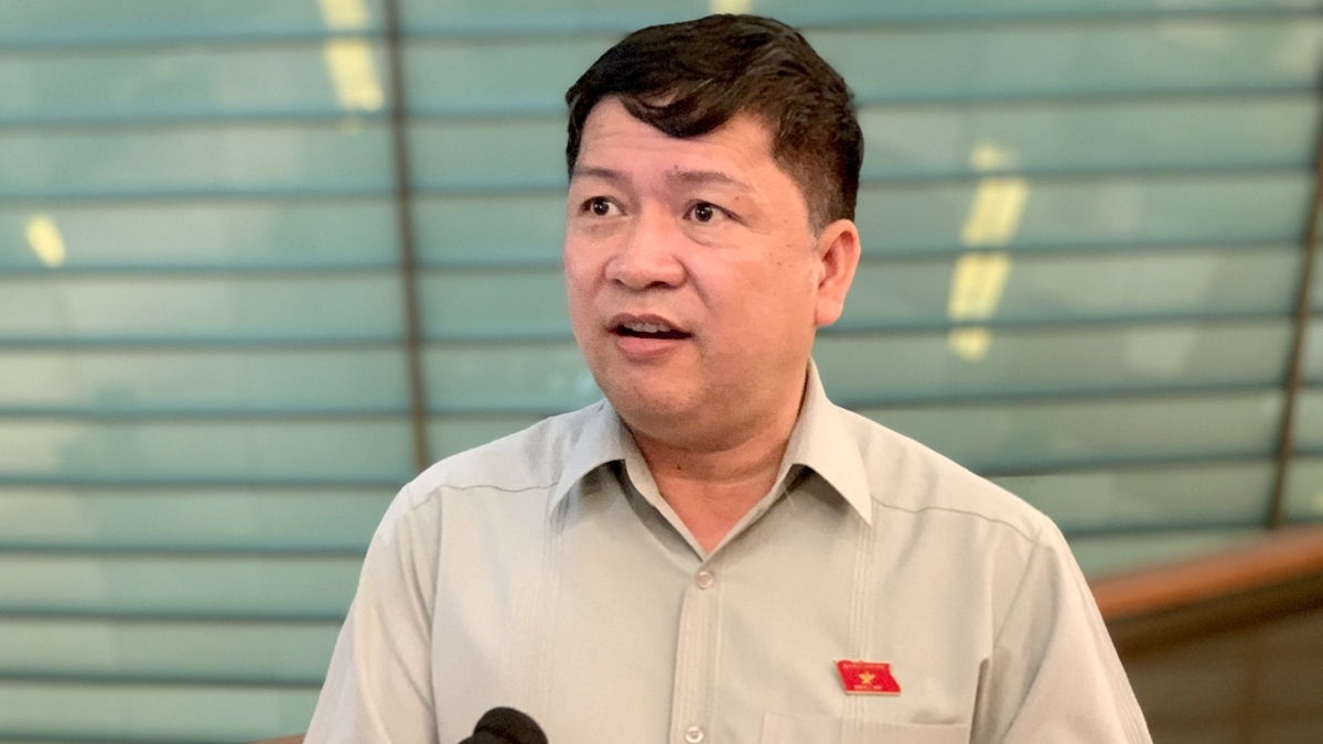 Đại biểu Tạ Văn Hạ (Đoàn Quảng Nam)