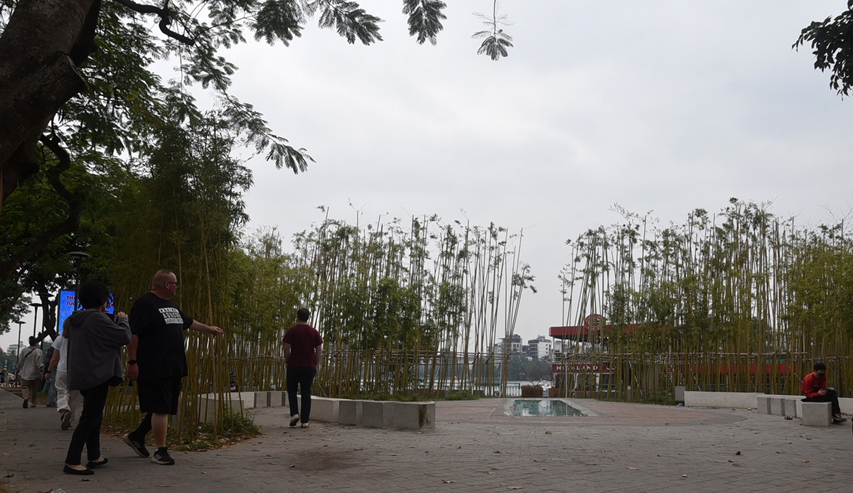 Với ý tưởng độc đáo khu rừng trúc xanh mướt hình thành trên tuyến đường Trấn Vũ ven hồ Trúc Bạch trở thành một điểm hút khách. Rừng trúc xanh mướt bên hồ nước tạo nên một không gian thoáng đáng yên tĩnh ngay giữa lòng đô thị vốn ồn ào náo nhiệt.