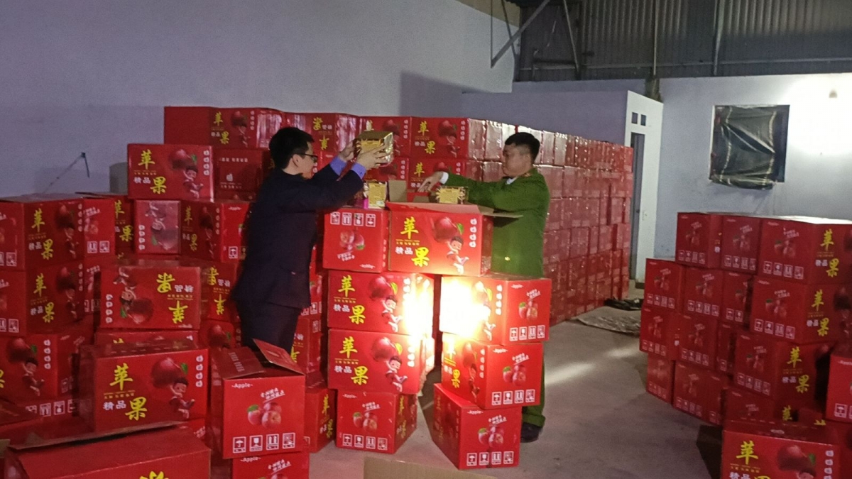 Lực lượng chức năng phát hiện kho pháo hoa nổ trái phép