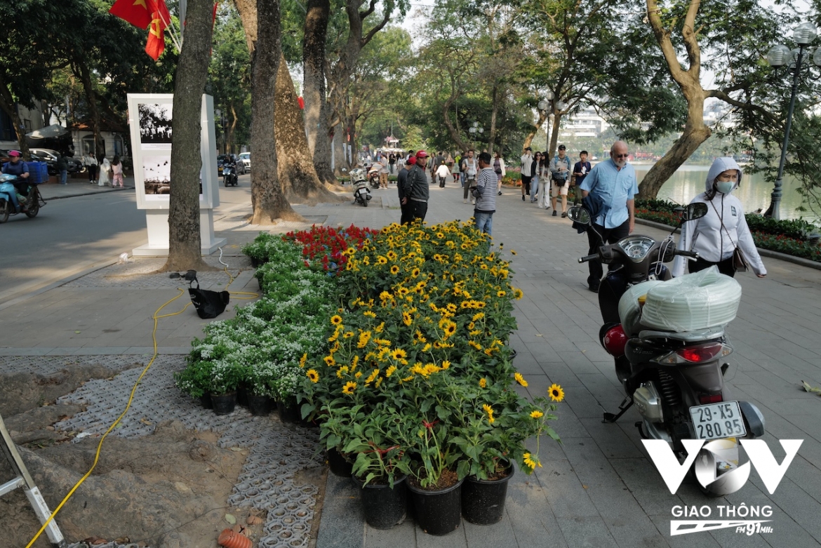 Quanh hồ Hoàn Kiếm, những chậu hoa tươi đang được vận chuyển đến để trồng trang trí đón năm mới