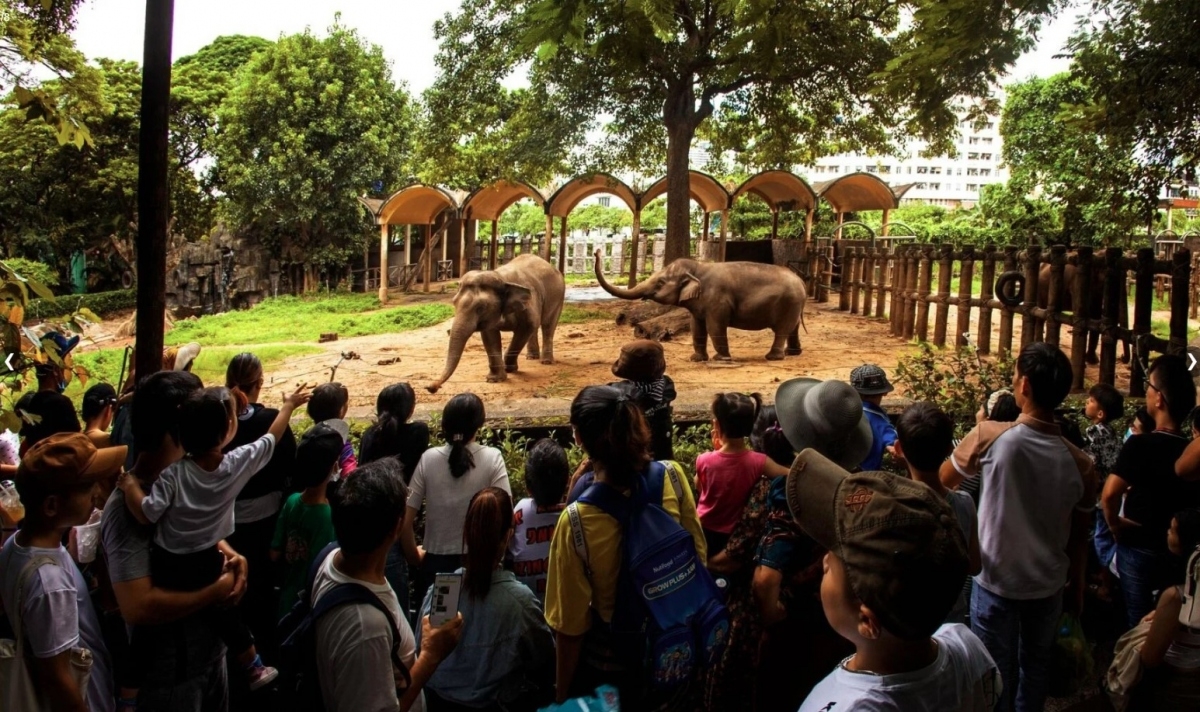 Saigon zoo and botanical garden is a perfect spot in the southern city that is home to thousands of types of exotic flora and fauna. Families can enjoy taking a stroll through the lush gardens, observe wildlife, and enjoy fun-filled games together.