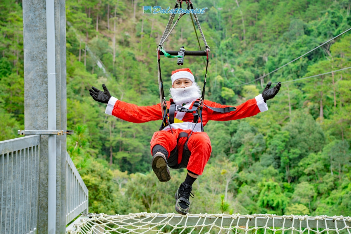 Zipline 1.500m tại khu du lịch thác Datanla đưa du khách xuyên qua rừng thông xanh mướt. 