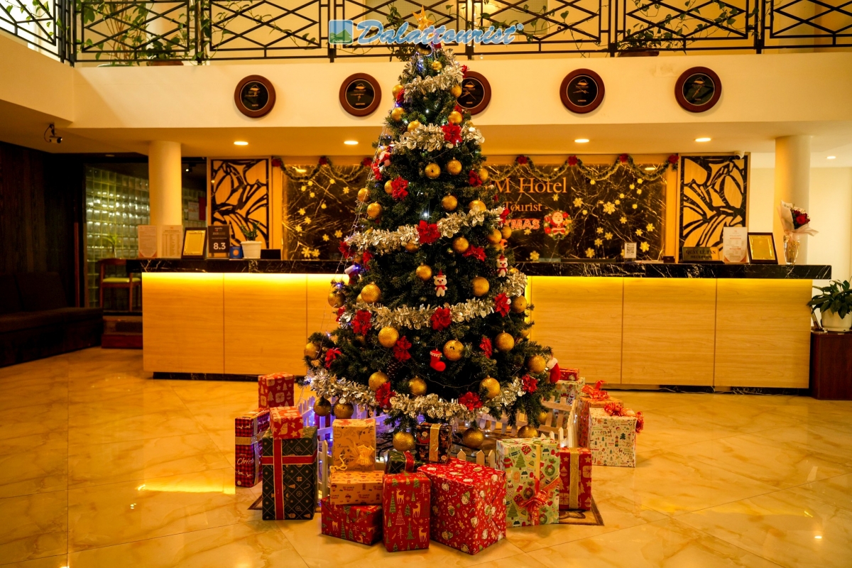 Check-in cùng cây thông Noel tại khu vực sảnh khách sạn Nice Dream Hotel.