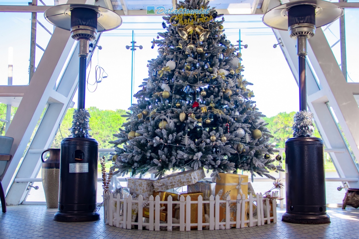 Cây thông bên trong nhà hàng &amp; cafe Thủy Tạ.