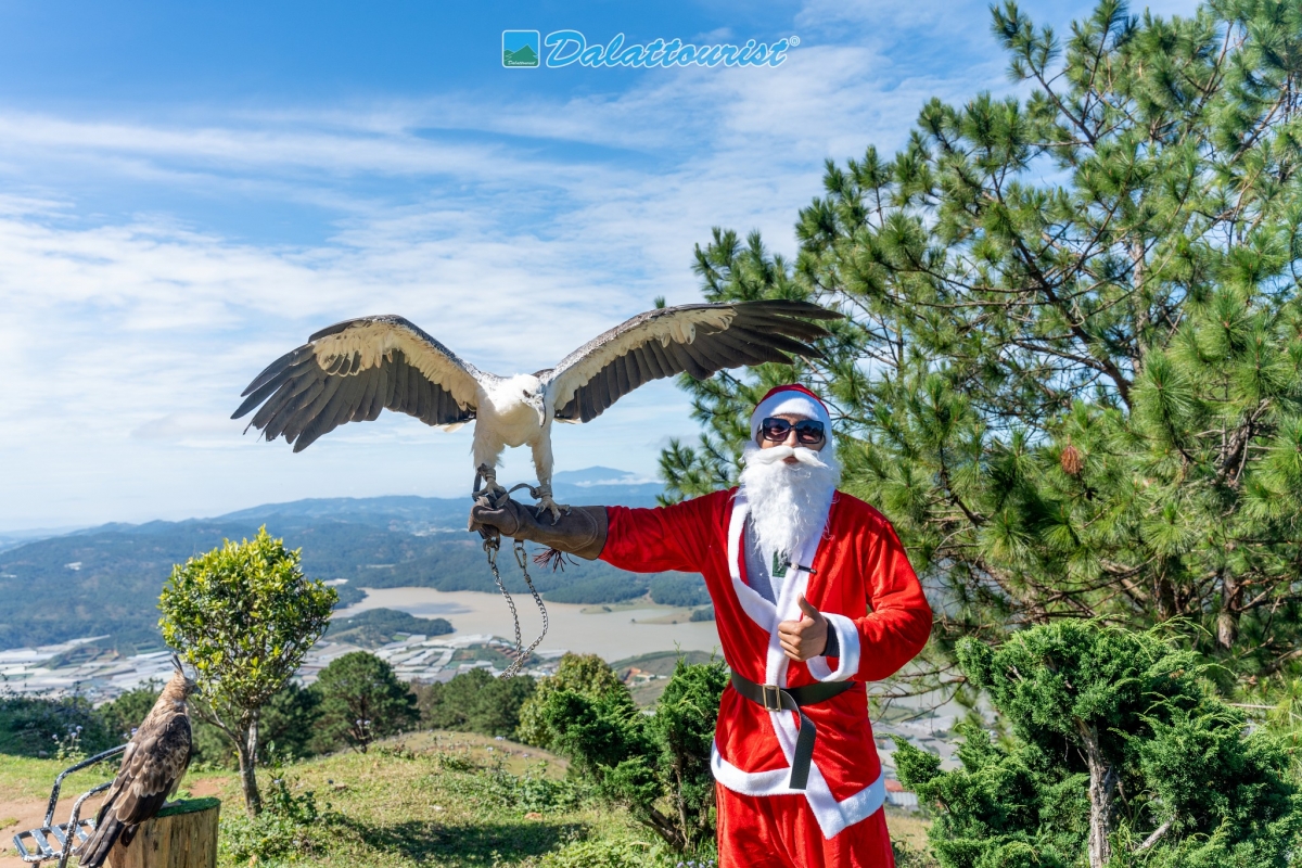 Chụp ảnh cùng chim đại bàng trên đỉnh Radar - Langbiang là trải nghiệm vô cùng độc đáo.