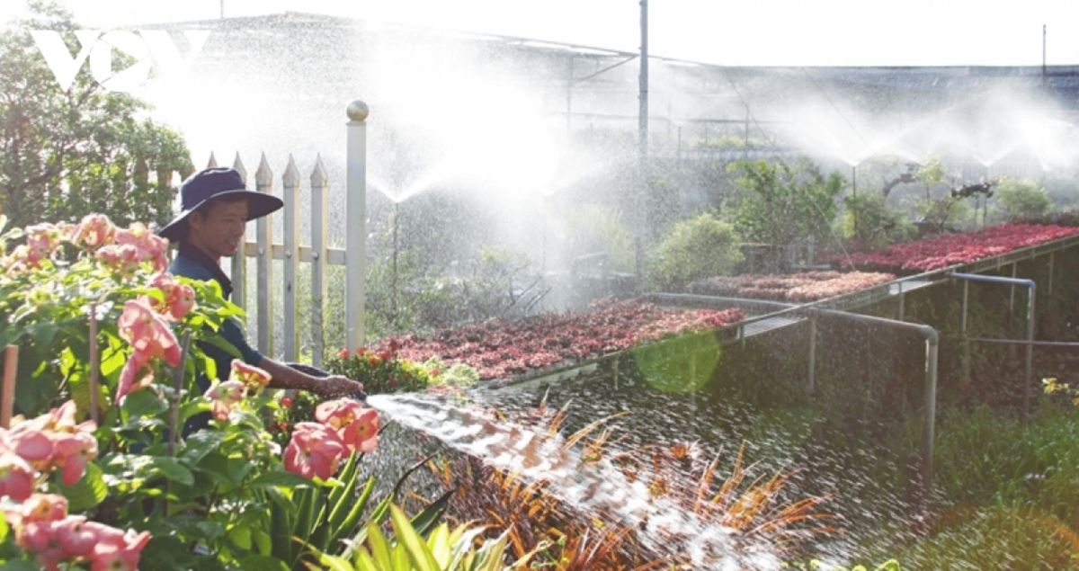    Sa Dec flower village was first established in the early years of the 20th century, with initially only a few households growing flowers to decorate their homes with during the lunar New Year festival (Tet).