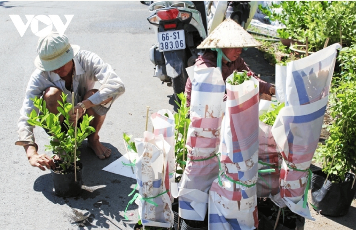   Some traders come to purchase flowers from the gardeners.