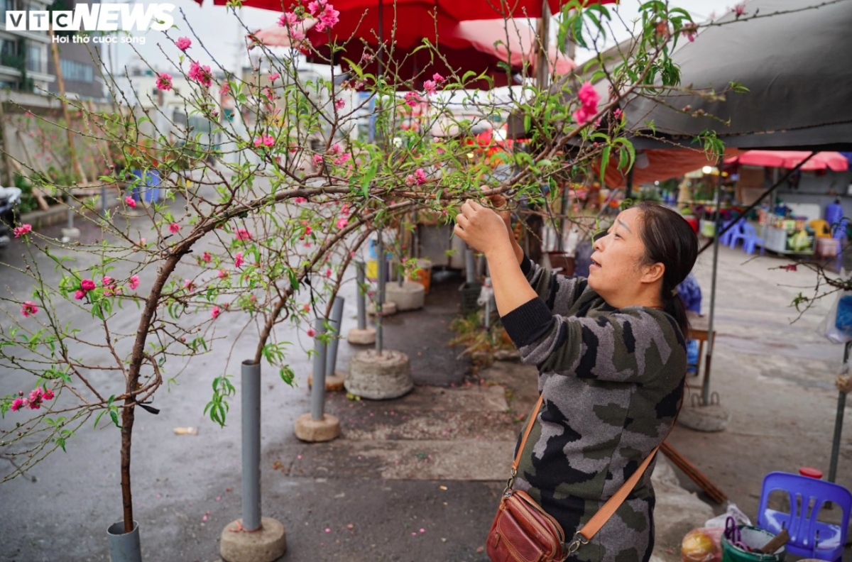 Luu Thi Hau, a trader at Quang An flower market, says she has spent 22 years selling peach branches for Tet celebrations and people often purchase these branches around one month ahead of the holiday period.