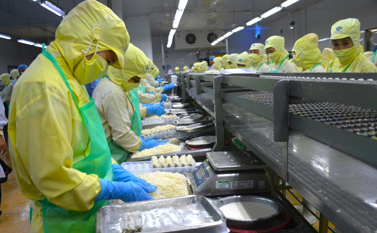 Chế biến hàng hóa xuất khẩu tại Cà Mau. (Ảnh minh họa)