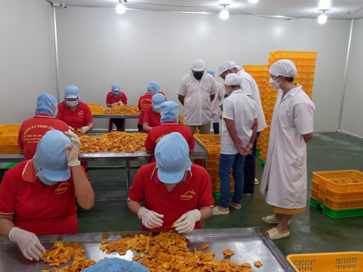 Cộng đồng doanh nghiệp ở Tiền Giang đã nỗ lực trong sản xuất kinh doanh, hoàn thành nghĩa vụ nộp thuế.