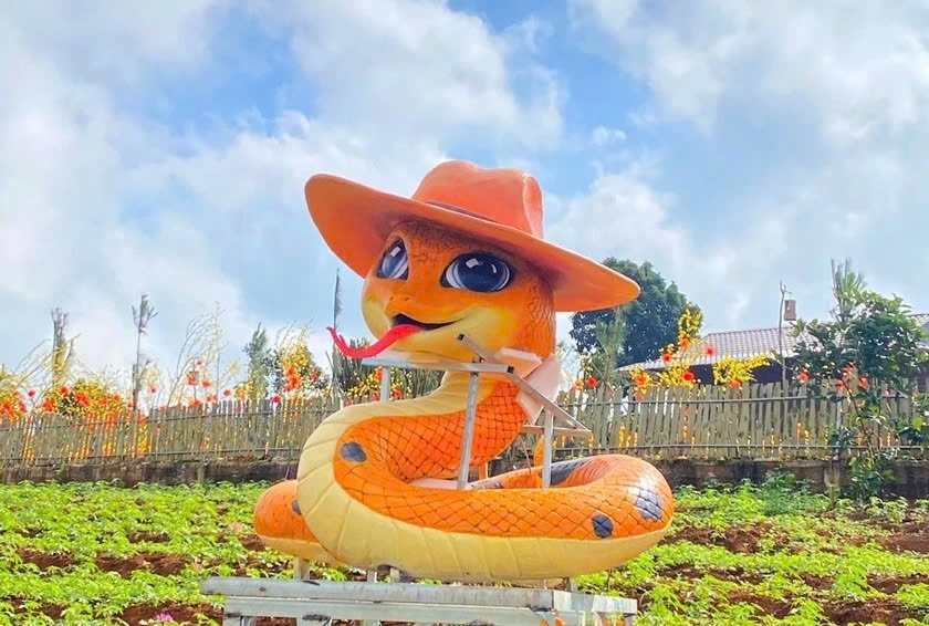 The snake mascot in Quang Tri crafted by artisan Dinh Van Tam has garnered attention with its unique and eye-catching design, featuring a cowboy hat.