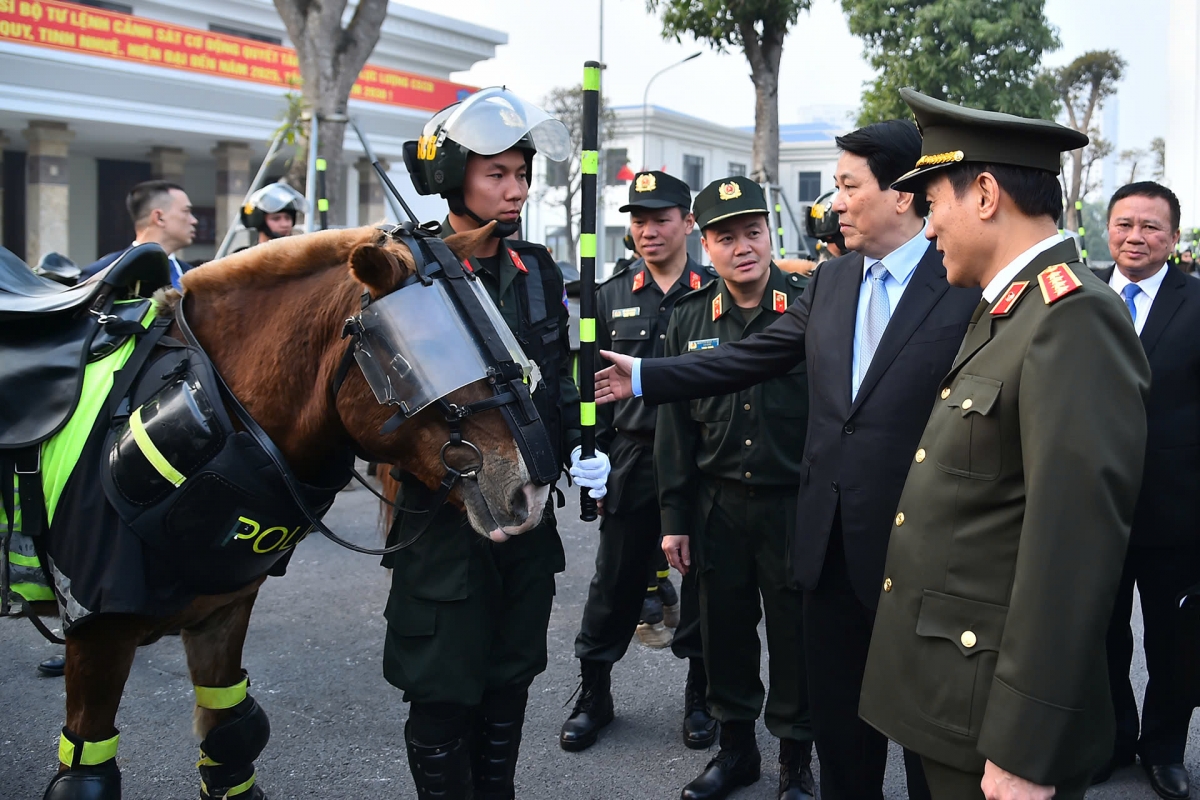 Chủ tịch nước cùng Bộ trưởng Bộ Công an nghe giới thiệu về lực lượng kỵ binh