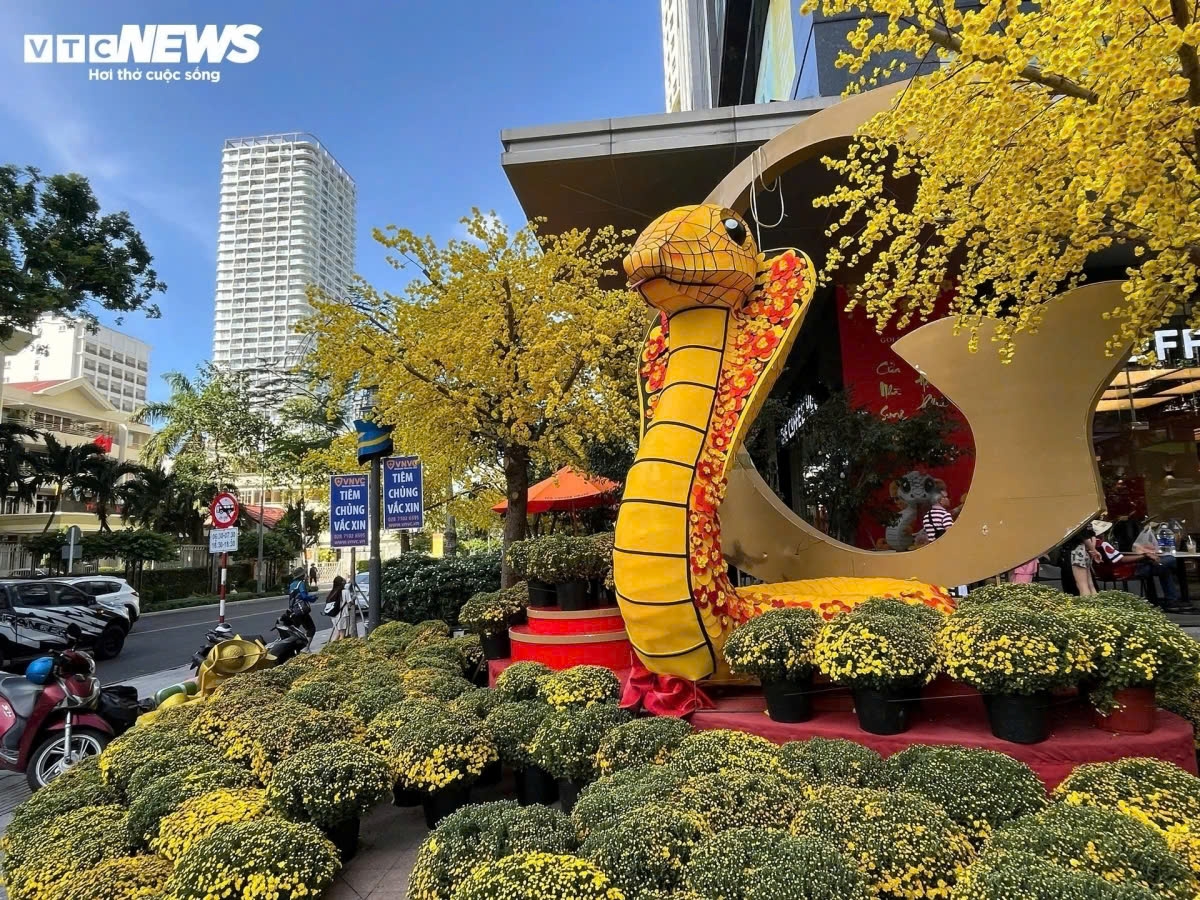 In Loc Tho Ward of Nha Trang city, the festive atmosphere for the Lunar New Year 2025 is more vibrant than ever with the striking appearance of an impressive King Cobra mascot. This towering figure, standing 3.5 meters tall, is intricately crafted with a steel core frame for stability and durability, overlaid with a smooth foam coating to create lifelike contours. (Photo: VTC)