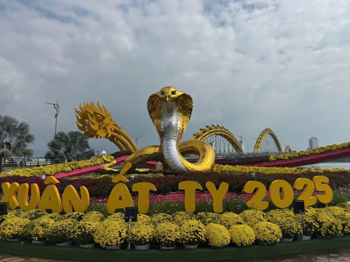 The golden snake mascot in Da Nang city, crafted by artisan Dinh Van Tam from Quang Tri, stands as an impressive symbol for the Lunar New Year 2025. (Photo: thanhnien.vn)