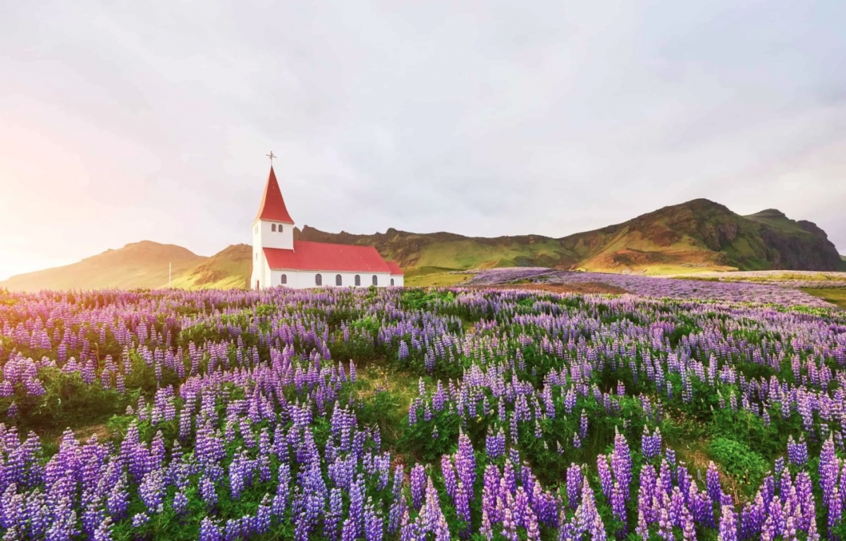 Ảnh minh họa: Iceland Travel