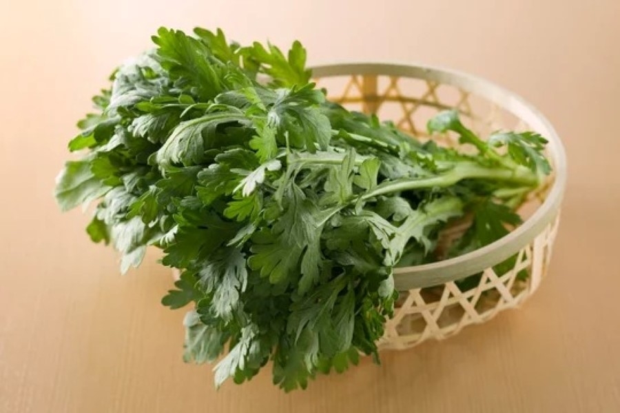 Cải cúc rất tốt cho sức khỏe tim mạch. Ảnh: Adobes Stock