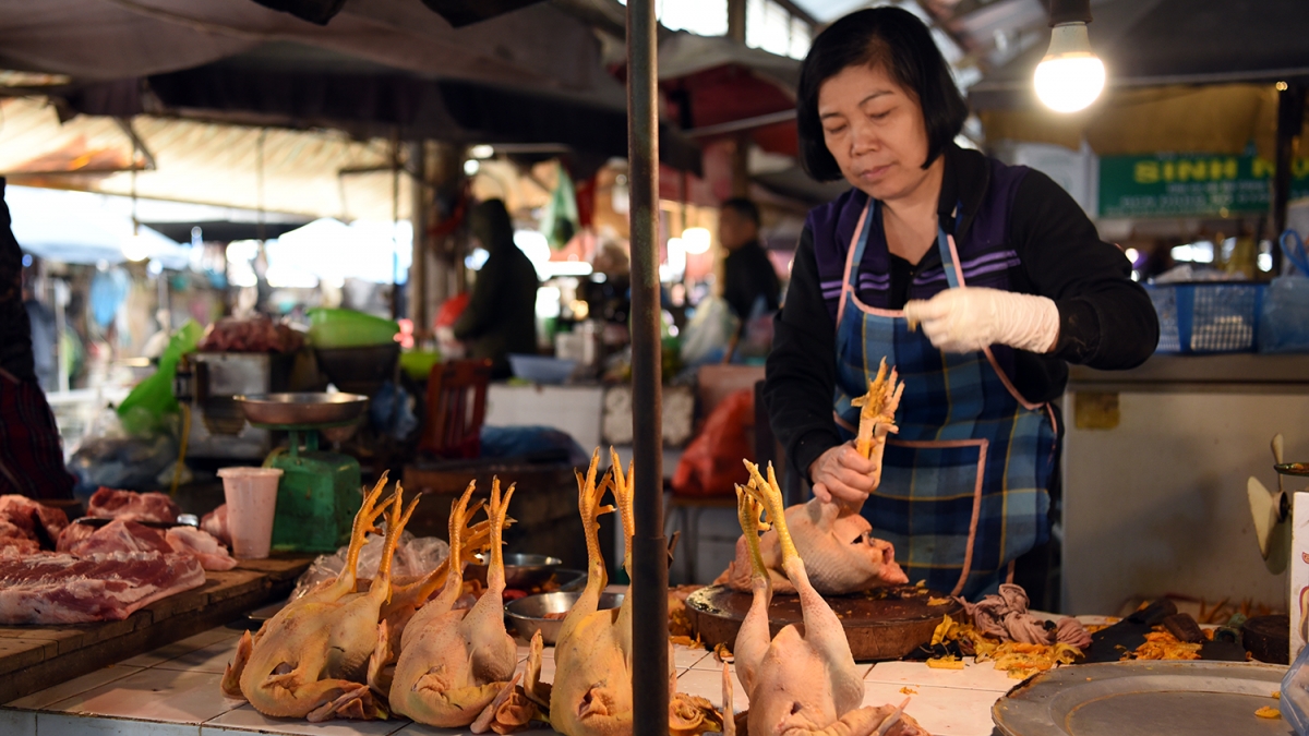 Chị Nguyễn Thị Oanh - tiểu thương bán hàng tại chợ Mai Dịch cho biết, hôm nay cũng ít người mua hơn so với mấy hôm trước. Từ sáng tới giờ chị mới bán được hơn chục con gà. Giá gà năm nay ở mức 190.000 đồng/kg gà đã làm sạch.