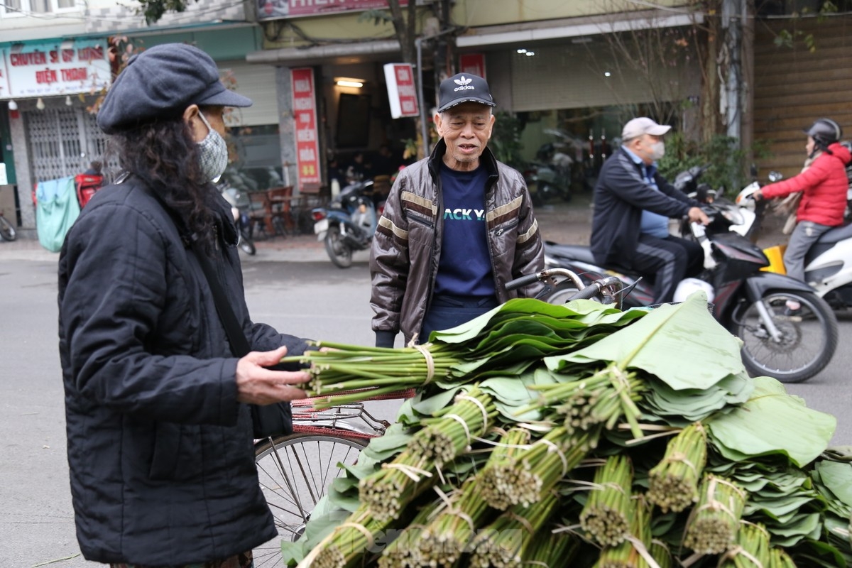 Tran Quy Cap Market in Dong Da district in the capital is the oldest traditional market specialising in selling Dong leaves. Dong leaves are sold all year round, but the busiest time is near the Lunar New Year festival. Stores often open from 5 a.m. until late at night.