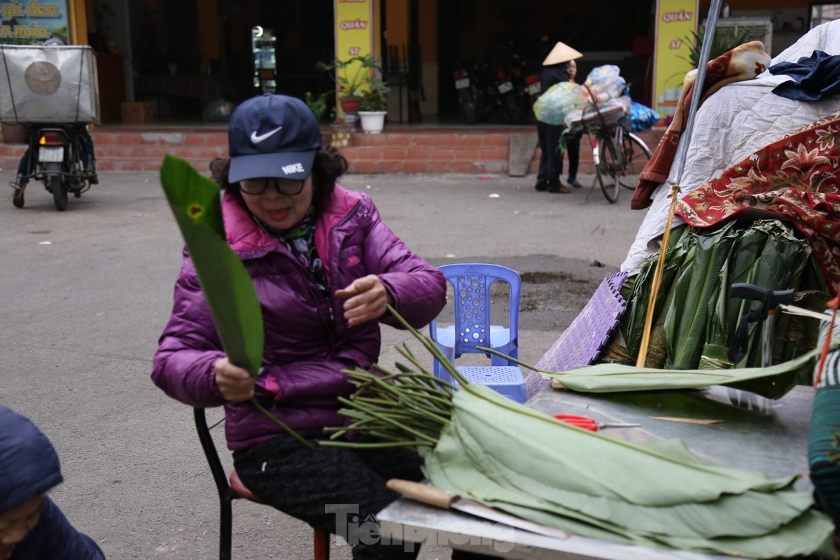 Dong leaves are chosen for both their catchy colour and odor. Wrapping Chung cake with these leaves provides an eye-catching green colour to the delicacy.