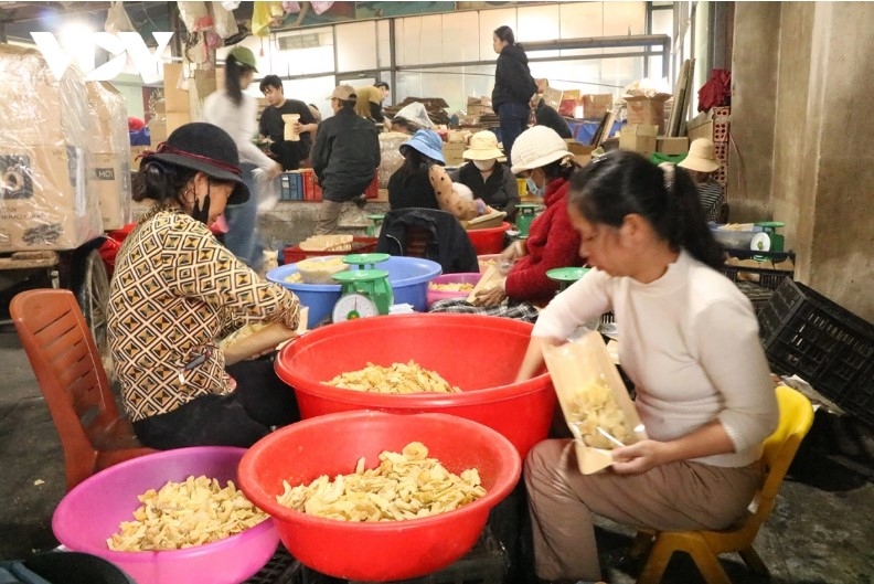 Since mid-November, many households start to prepare to make ginger jam which is in high demand during the Tet holiday.