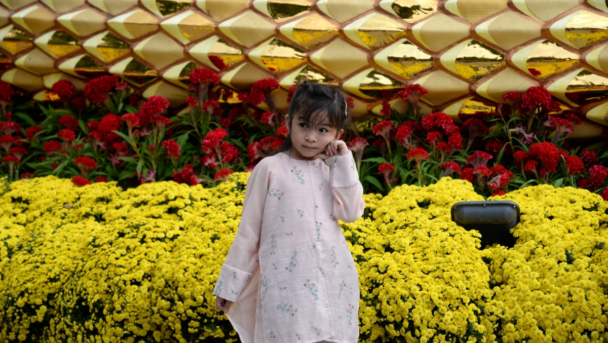 Một em bé làm dáng trong đường hoa