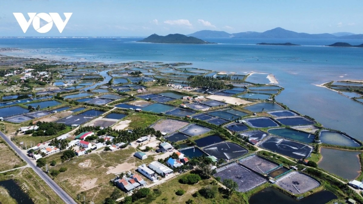 Khu vực quy hoạch sân bay Vân Phong