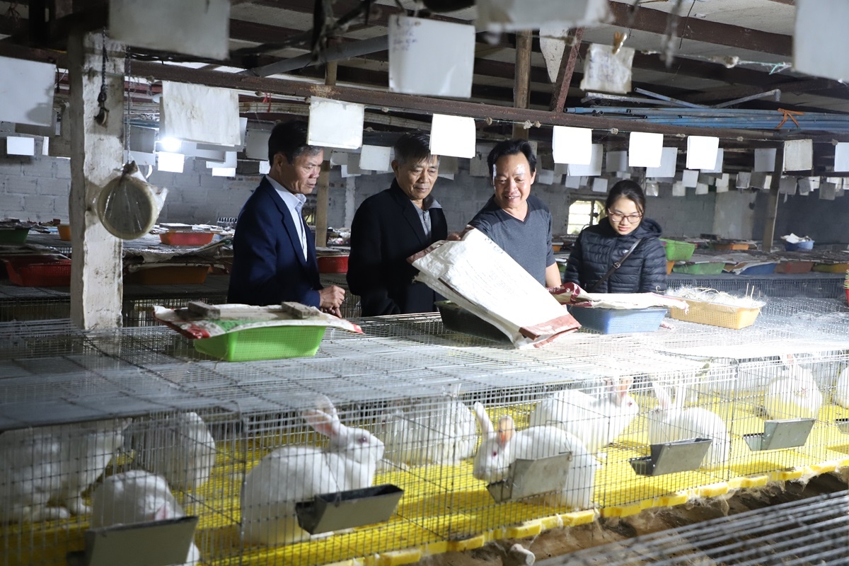 Anh Triệu Đình Hợi (đứng thứ 2 từ phải sang) tiếp giới thiệu kỹ thuật chăm sóc thỏ với đoàn Cựu chiến binh tỉnh Nam Định