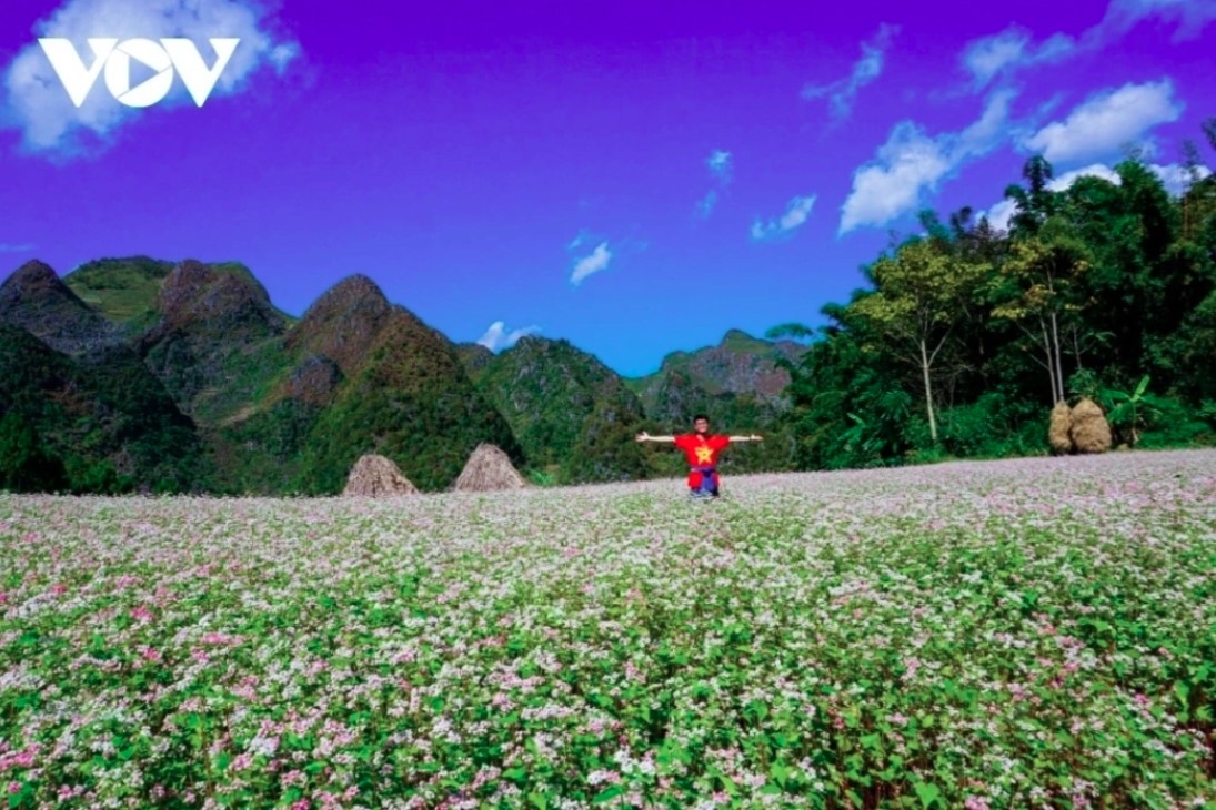 The northern mountainous province of Ha Giang welcomes adventurers with its awe-inspiring landscapes and rich cultural tapestry. The locality offers challenging mountain trails, lush greenery, and colourful ethnic villages for visitors to enjoy.