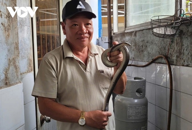 Phạm Van Minh rises to success through the snake cuisine business