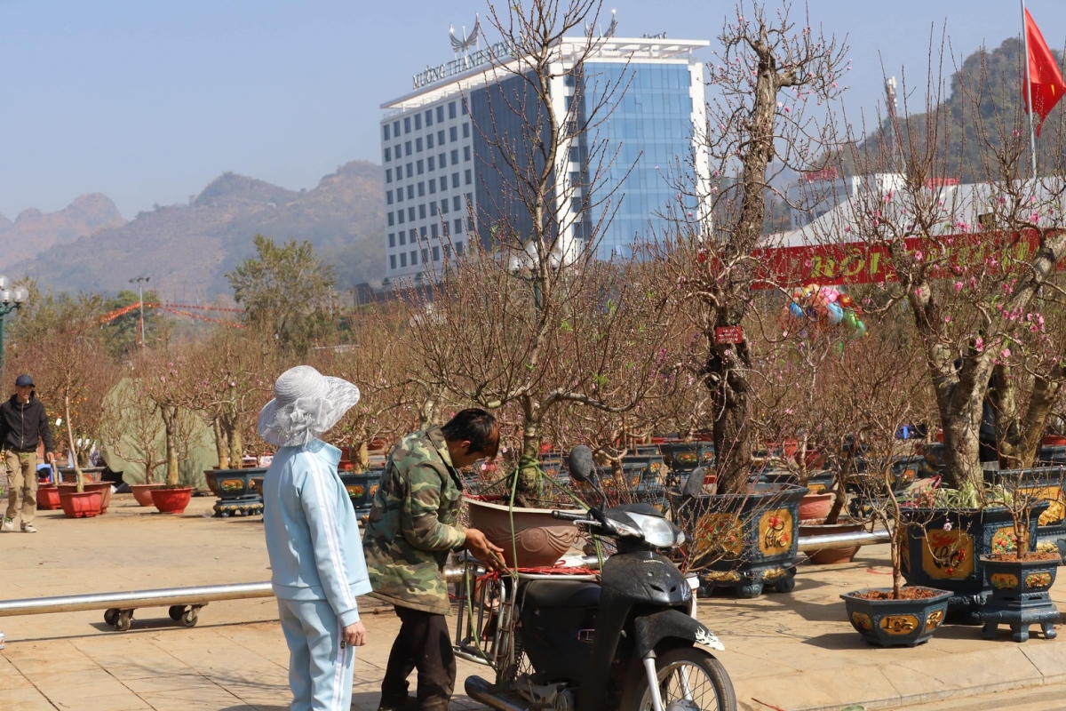 Phục vụ nhu cầu đa dạng của người dân trong dịp Tết Nguyên đán.