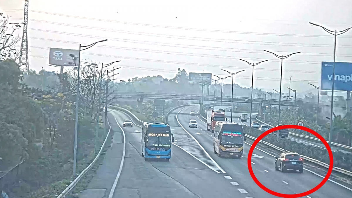 Phương tiện vi phạm