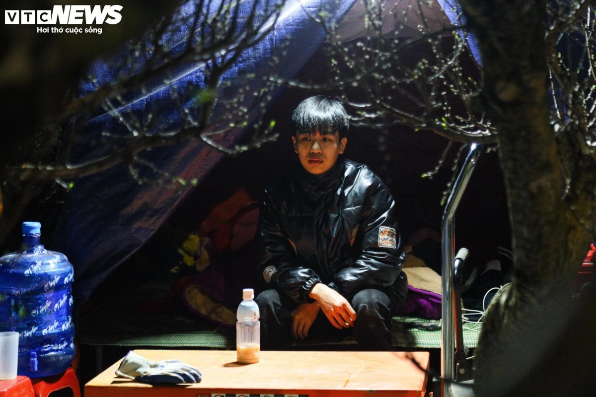 "Gia đình tôi vận chuyển đào từ Mộc Châu xuống 3 điểm Quảng Ninh, Vinh (Nghệ An), Hà Nội để bán. Vài hôm trước tại Vinh nhà chúng tôi bị mất 6 cây đào, còn tại điểm bán Hà Nội, chúng tôi có 3 người thay phiên nhau trông nên không xảy ra tình trạng bị mất trộm", anh Tài nói.