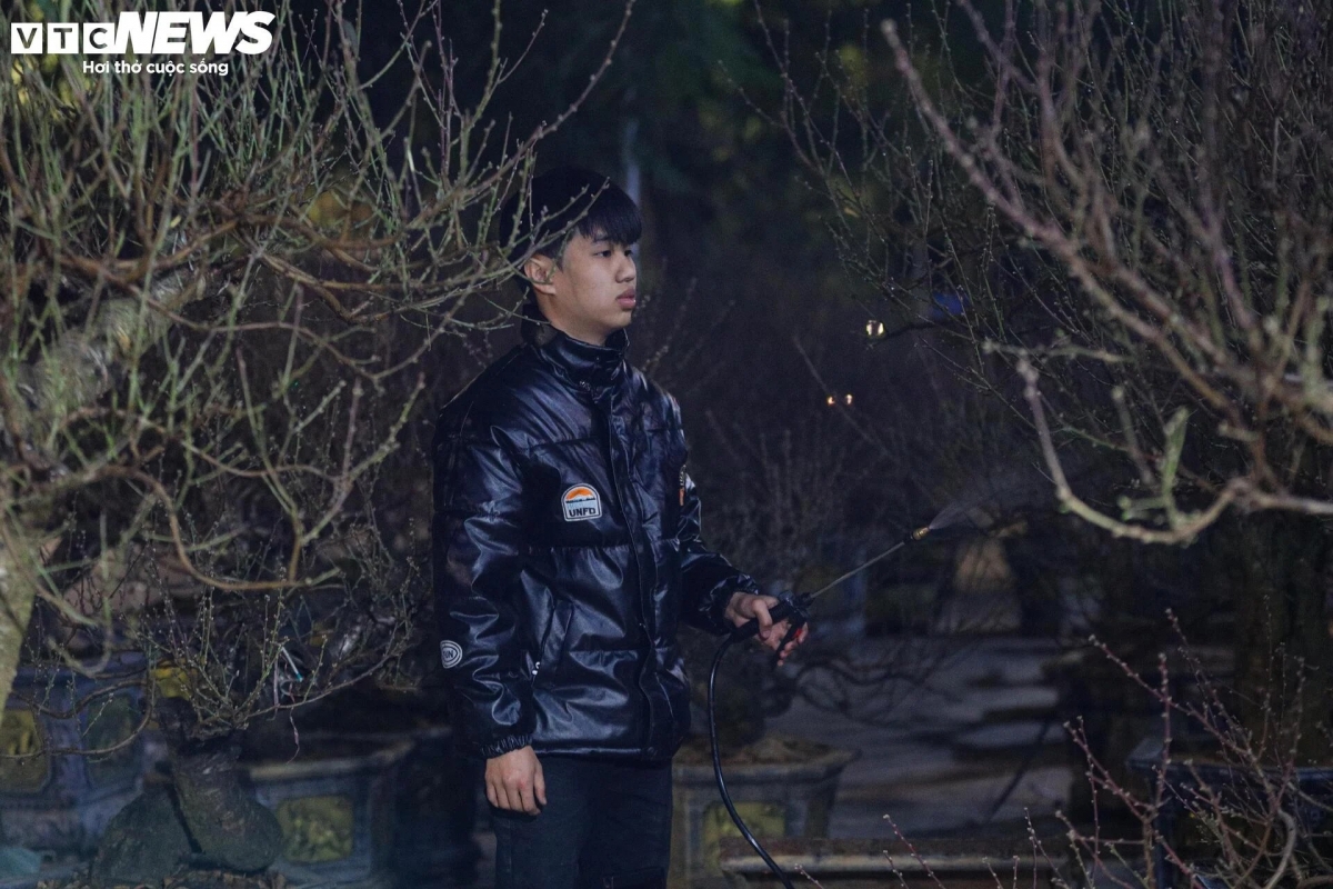 Theo anh Tài, khu vực bán đào nào ở địa điểm vắng vẻ sẽ dễ bị kẻ xấu lợi dụng để lấy trộm.