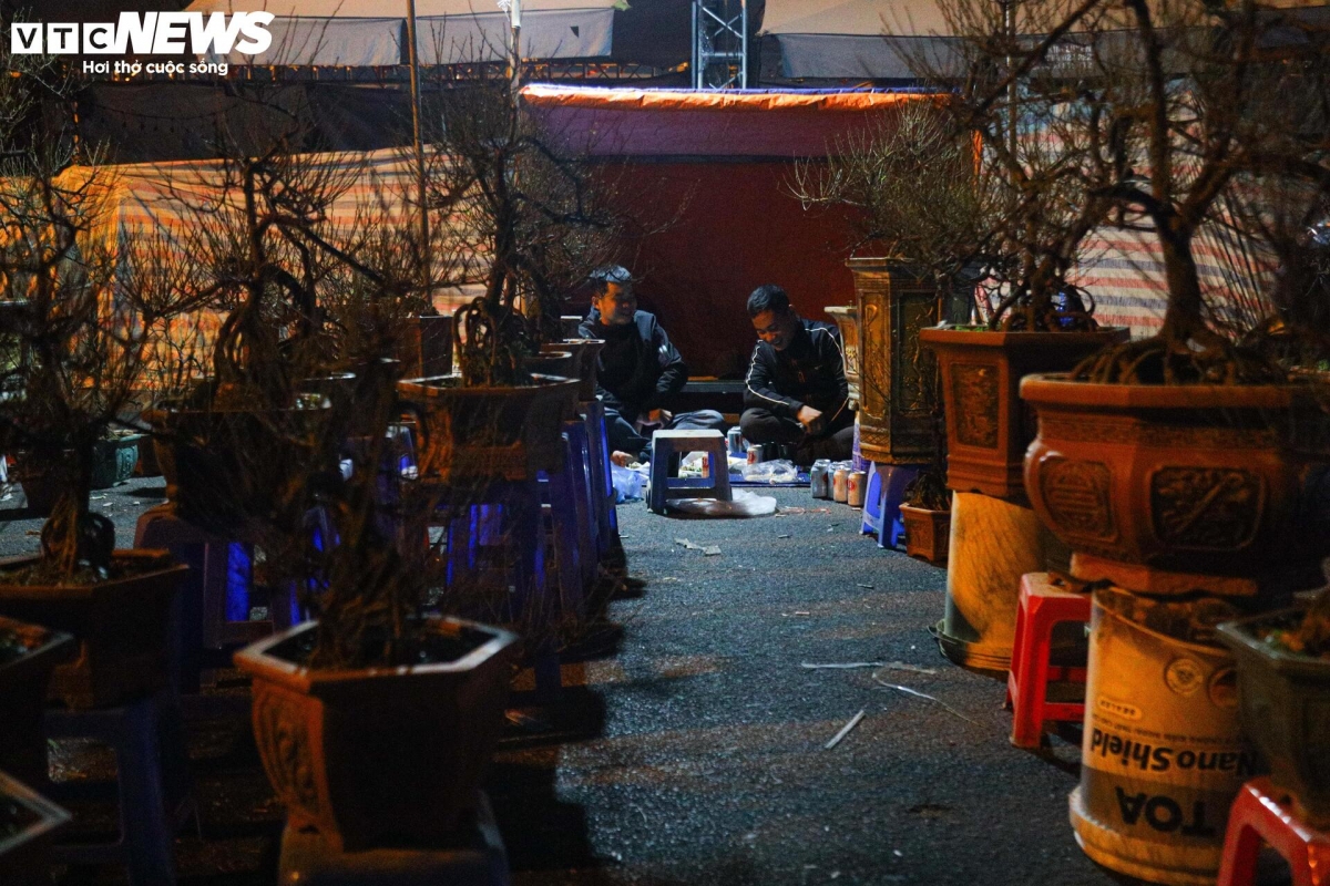 Một tiểu thương cho biết: "Năm nay thấy tình hình kinh tế khó khăn, cũng lo sợ người dân dè dặt trong việc chi tiền mua sắm Tết nên tôi chỉ nhập những rẻ hơn mọi năm. Ví dụ năm trước nhập cây giá từ 5 - 8 triệu đồng thì năm nay tôi chỉ nhập cây từ 2 - 4 triệu đồng, nhằm dễ bán hơn".