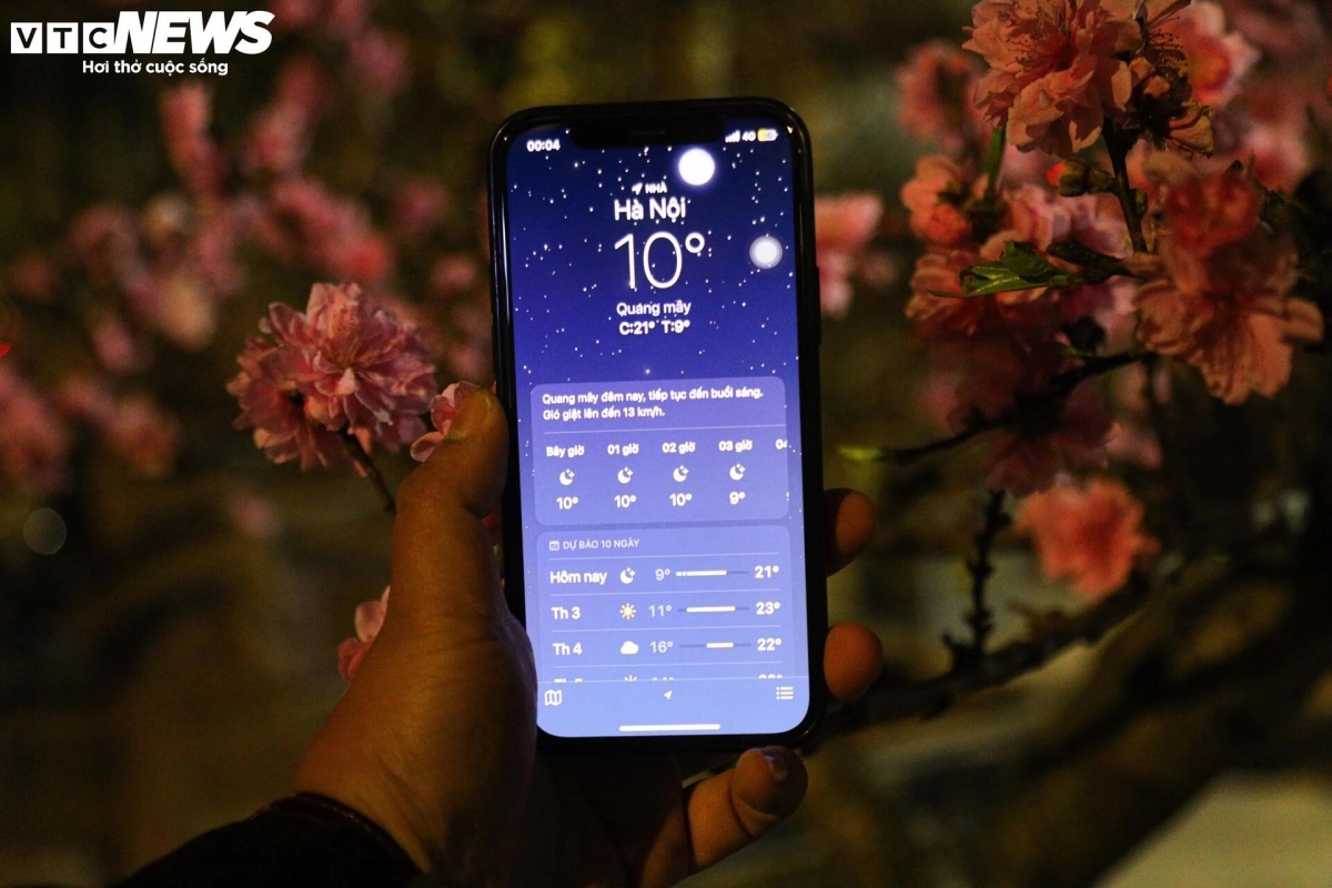 Nhiệt độ về đêm xuống thấp chỉ còn 9 - 10 độ khiến những tiểu thương bán cây cảnh Tết phải gồng mình chống chọi.