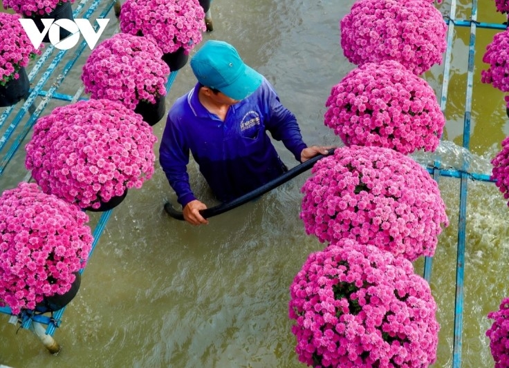 A farmer waters the roots of his flower pots.