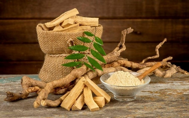 Cây mật nhân giúp giảm căng thẳng, mệt mỏi. Ảnh: Getty Images