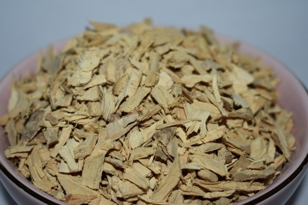 Cây mật nhân giúp giảm đau nhức, viêm sưng do bệnh gout gây ra. Ảnh: Istock