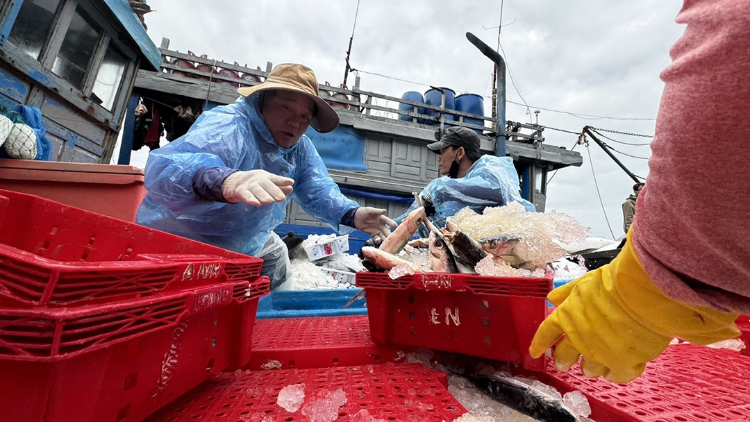 Tàu về bờ tranh thủ bán hải sản