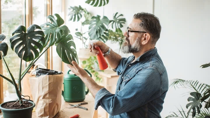 Mặc dù tưới bột giặt lên cây cảnh có thể mang lại một số tác dụng nhất định, bạn cần kiểm soát liều lượng và chỉ sử dụng khi thật sự cần thiết. (Ảnh: House Digest)