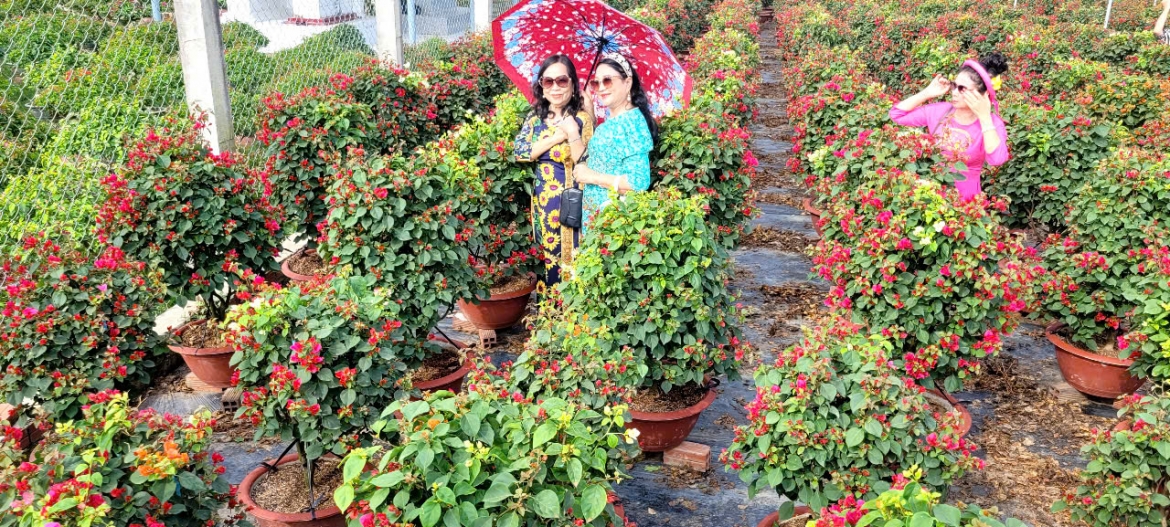 Du khách xa gần đến tham quan tại huyện Chợ Lách