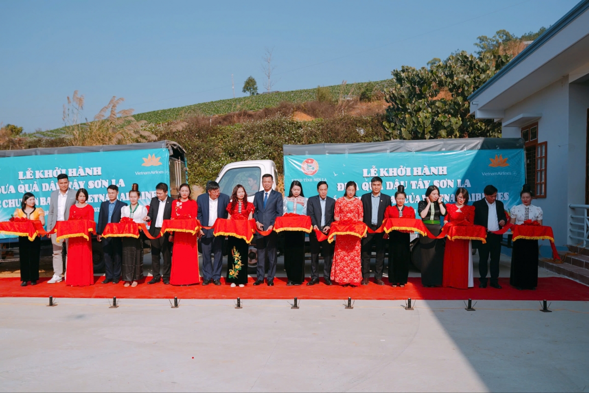 Lễ Khởi hành đưa quả dâu tây Sơn La trên các chuyến bay của Vietnam Airlines
