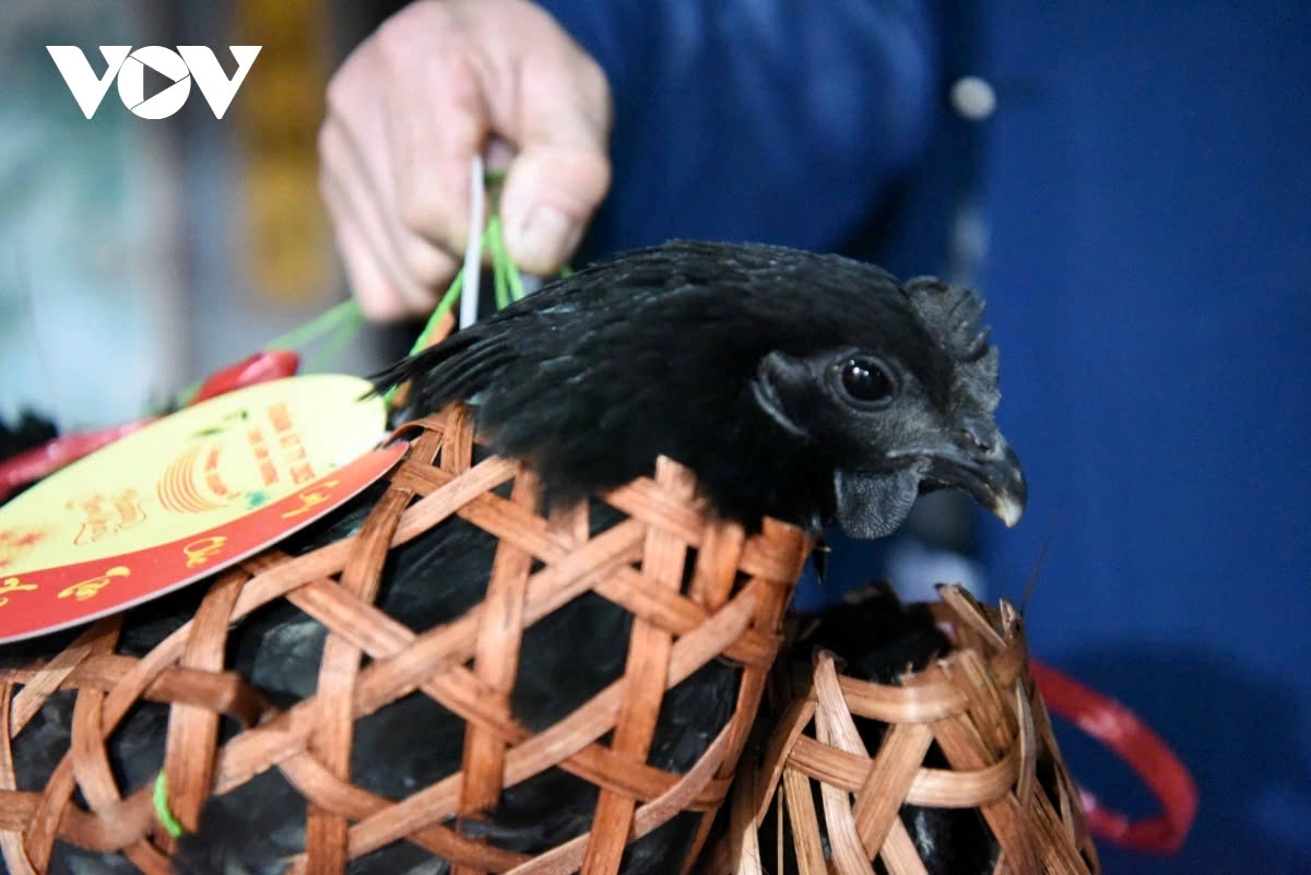 “This year, the organizing board has prepared 308 black chickens, which symbolize mystery and spirituality. Only those who are truly lucky will be able to squeeze in and pick a black chicken to take home after the market session,” says Thien.