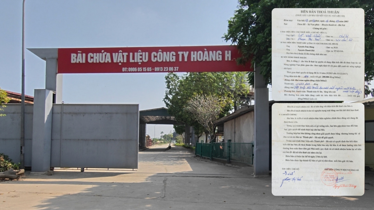 Trong khi phía Công ty Hoàng Hà từ chối đưa ra hợp đồng chuyển nhượng gốc, UBND xã không lưu, thì người dân vẫn giữ bản hợp đồng cho thuê gốc