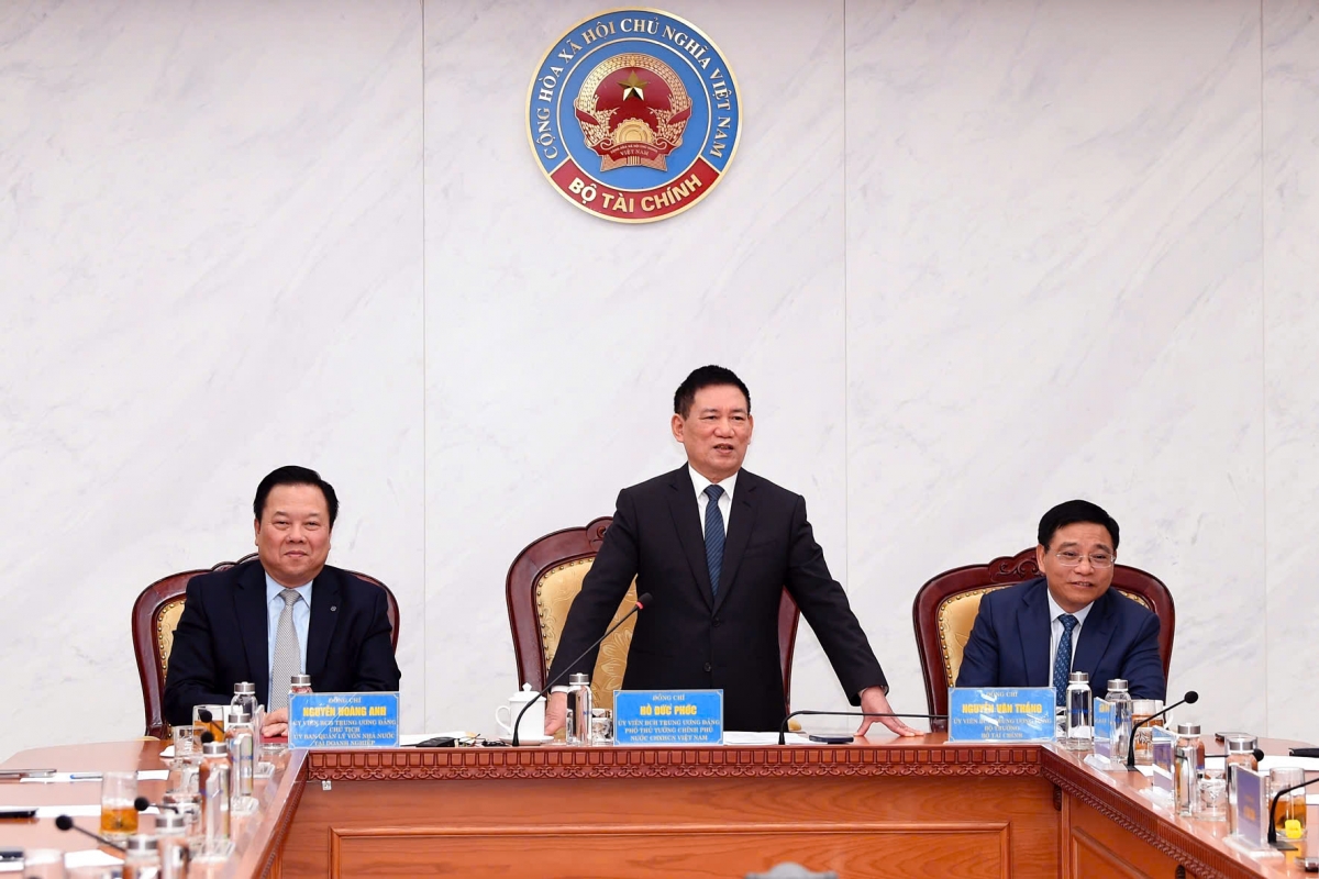 Phó Thủ tướng Chính phủ Hồ Đức Phớc phát biểu tại lễ chuyển giao