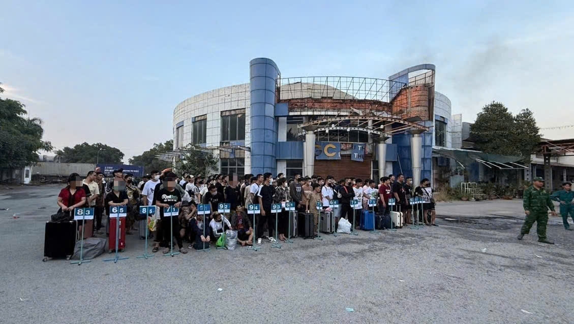 Đa số làm cho các công ty lừa đảo (ảnh Minh Phú)